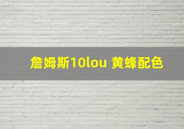 詹姆斯10lou 黄蜂配色